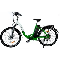 Электровелосипед ELBIKE GALANT BIG VIP бело-зеленый
