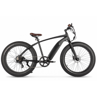 Электровелосипед Eltreco Sporto Newt