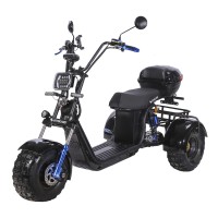 Электроскутер CityCoco SKYBOARD BR40-3000 OFF-ROAD Trike