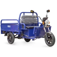 Грузовой электротрицикл Rutrike Партнёр 1500 48V1200W Синий