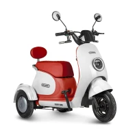 Электротрицикл Rutrike Gelbert Ogma 48V/60V 650Вт Бело-красный